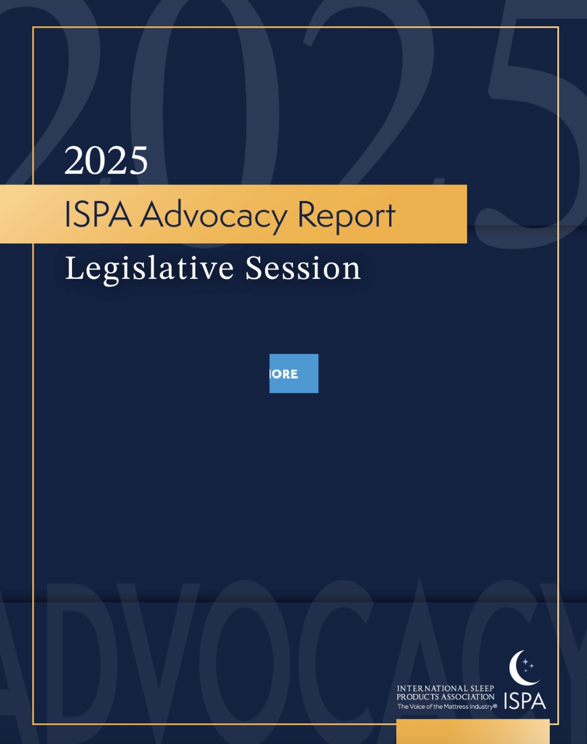 ISPA-Advocacy-Report